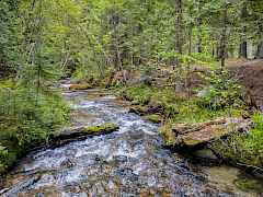 32-2017 clugston-onion crk rd