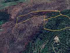 Lot 36 & 37 - Aerial