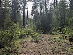 PXL_20250619_230158228