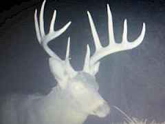 20251031201634297598000000