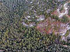 Potential Access Parcel C