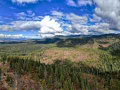 202412830-5b3f6ccd-09b4-4dae-a0f3-6aec46