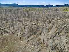 202613128-10760cd9-d751-4cf0-99fb-5a4216