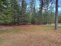 20250401011640546016000000-o