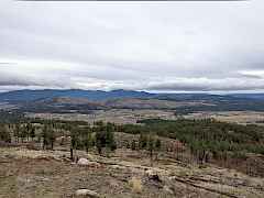 PXL_20211130_171748256