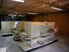 Store interior