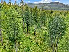 16-bussard lake rd-parcel