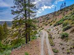 98_98-33905 winterwood ln e-davenport-wa