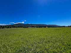 2-IMG_9559