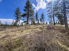 4-IMG_8280
