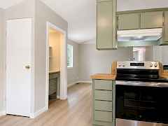 Kitchen to living area